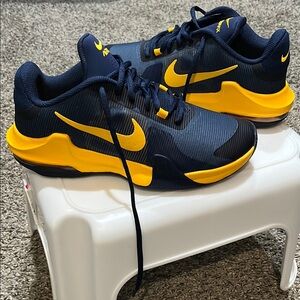 Men’s Nike AirMax Sneakers